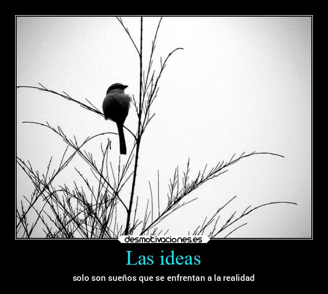 carteles ideas anime corazon caracter ausencia alicea laterceracola desmotivaciones