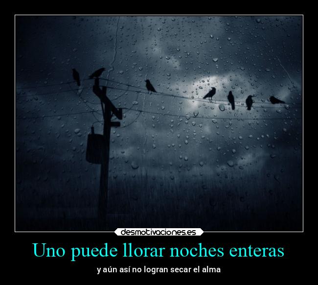 carteles llorar caracter amor bogota alicea laterceracola desmotivaciones