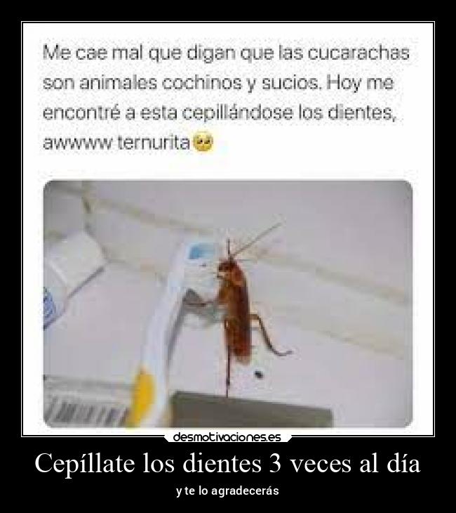 Cepíllate los dientes 3 veces al día - y te lo agradecerás