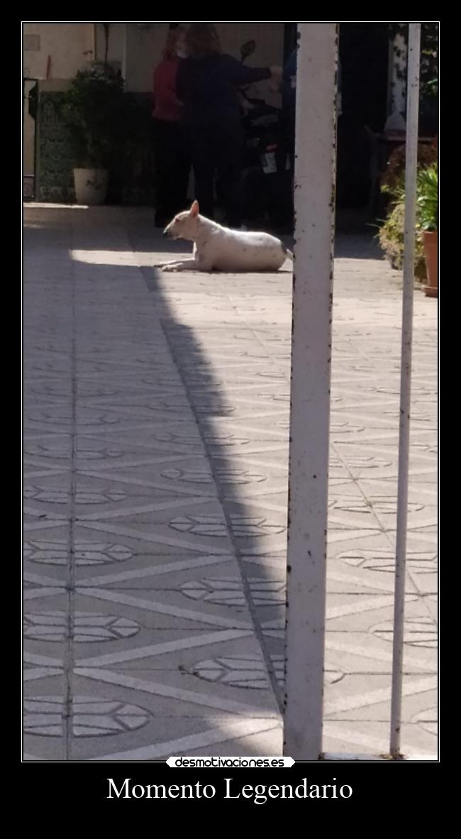 Momento Legendario -