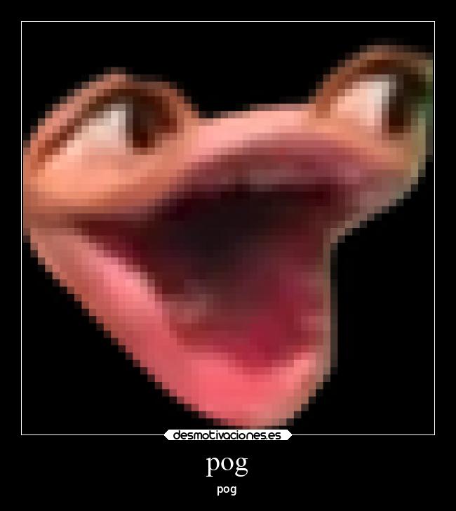 carteles memes desmotivaciones