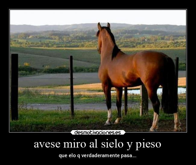 avese miro al sielo y pieso - que elo q verdaderamente pasa...