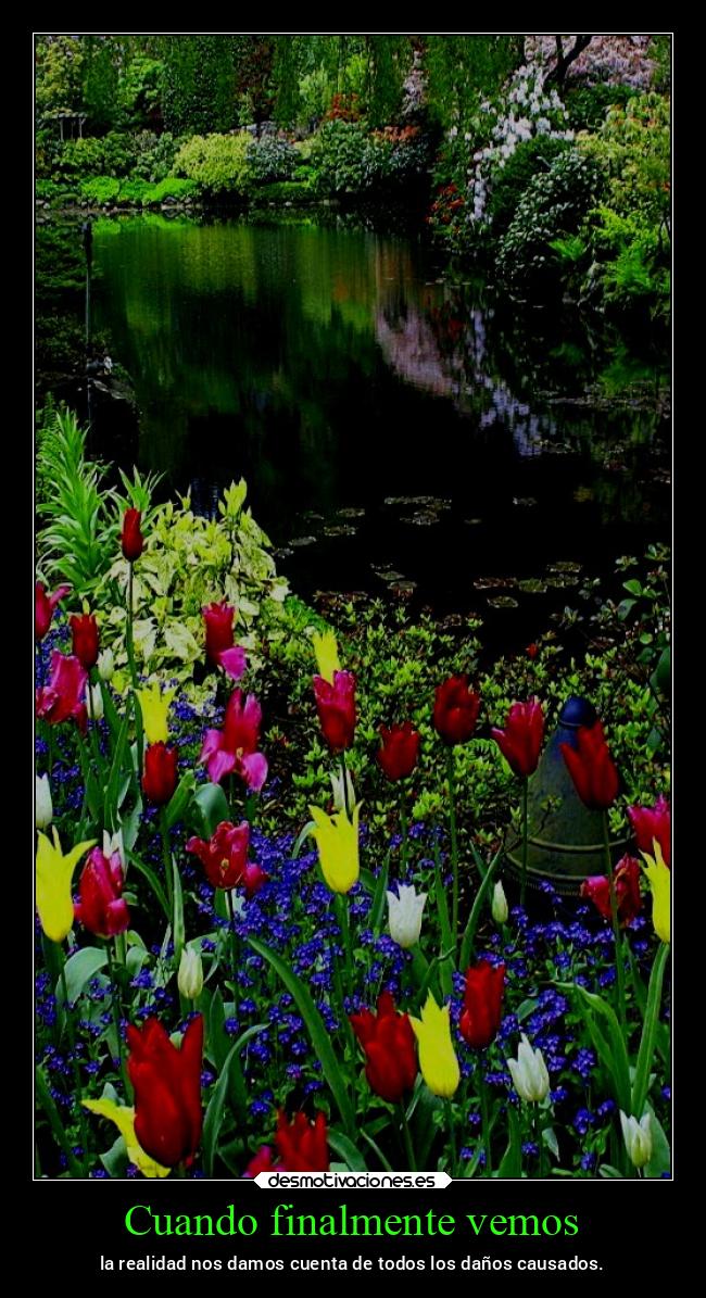 Cuando finalmente vemos - la realidad nos damos cuenta de todos los daños causados.