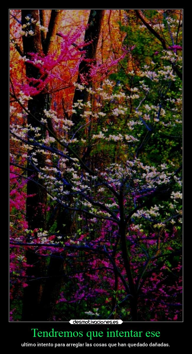 Tendremos que intentar ese - ultimo intento para arreglar las cosas que han quedado dañadas.