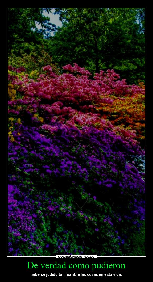 De verdad como pudieron - haberse jodido tan horrible las cosas en esta vida.