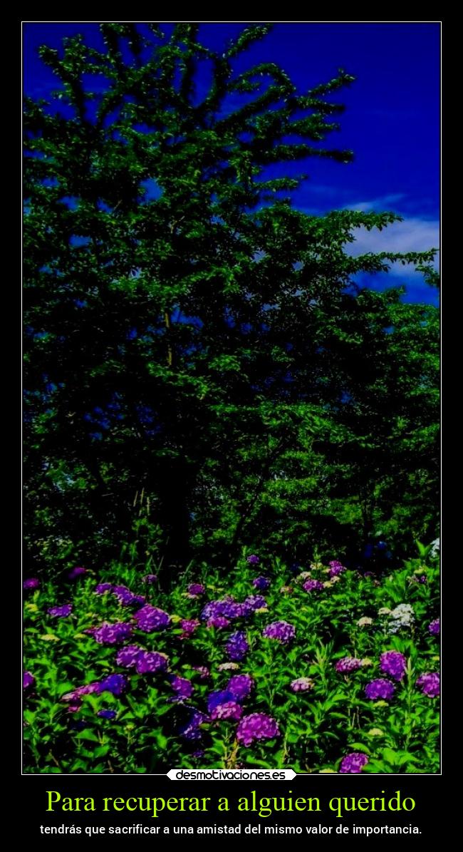 Para recuperar a alguien querido - tendrás que sacrificar a una amistad del mismo valor de importancia.