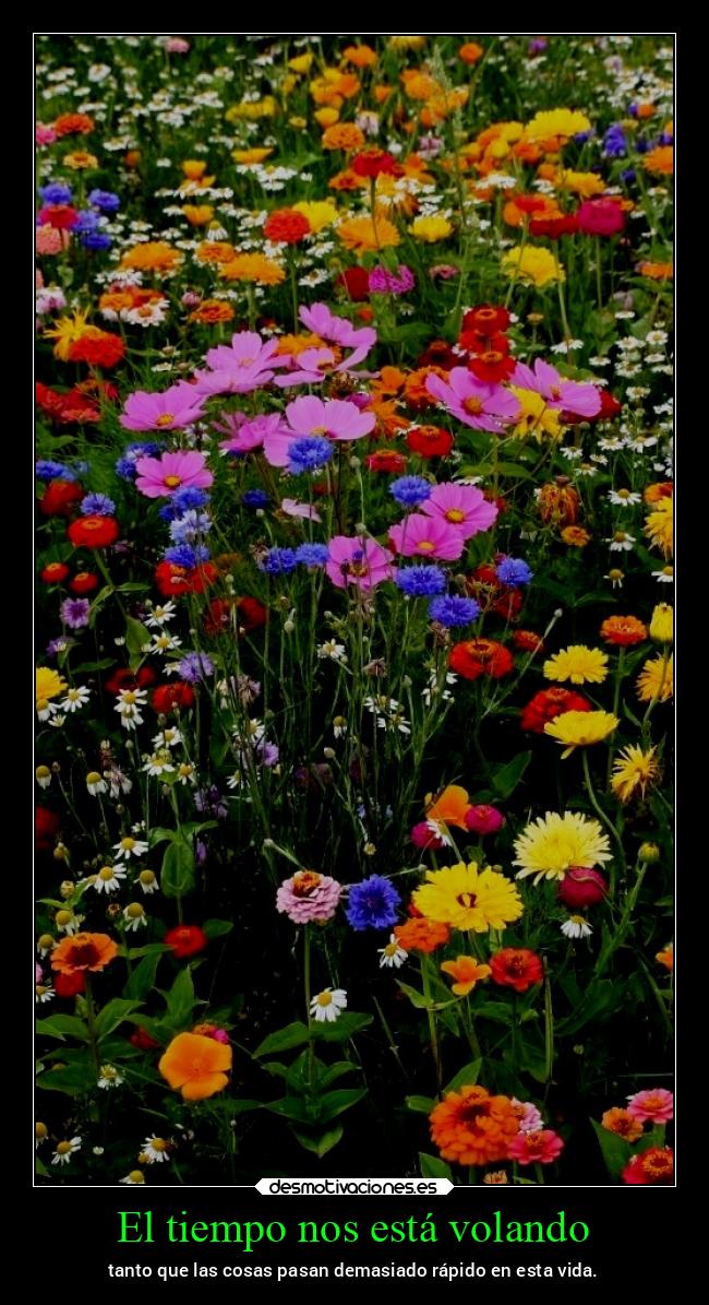 El tiempo nos está volando - tanto que las cosas pasan demasiado rápido en esta vida.