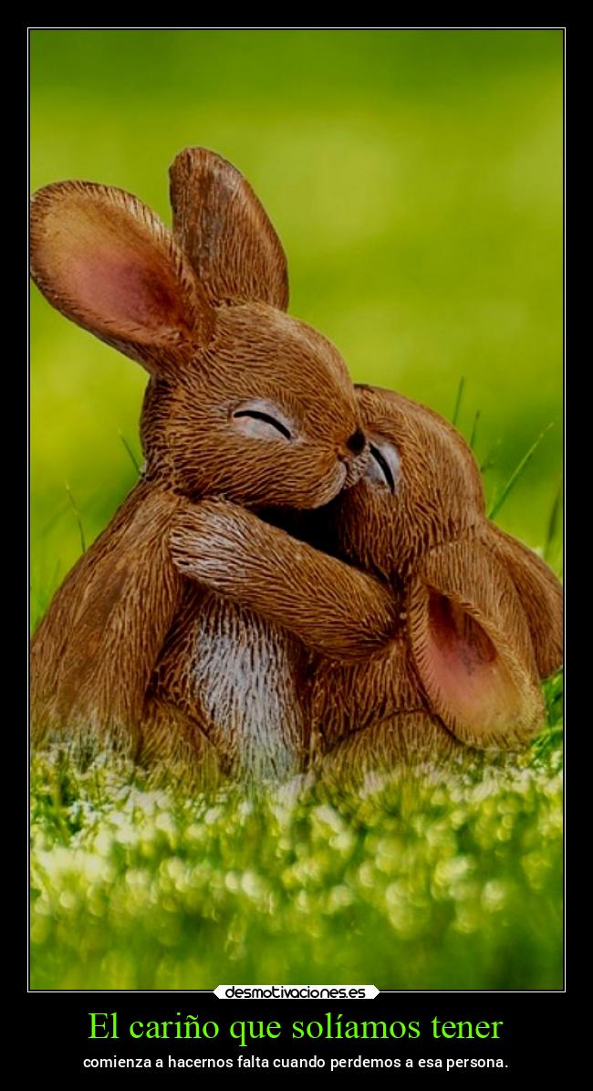 El cariño que solíamos tener - comienza a hacernos falta cuando perdemos a esa persona.