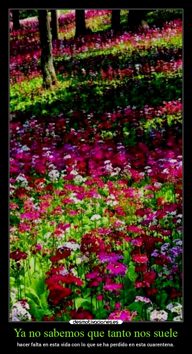 Ya no sabemos que tanto nos suele - hacer falta en esta vida con lo que se ha perdido en esta cuarentena.