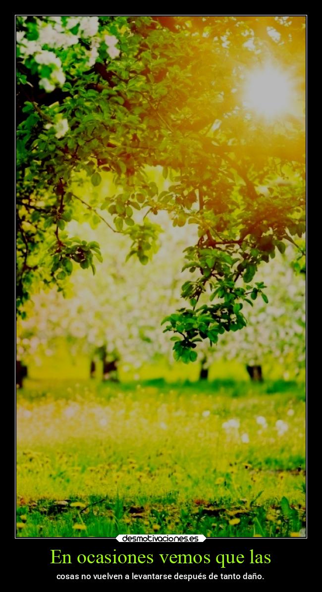En ocasiones vemos que las - cosas no vuelven a levantarse después de tanto daño.