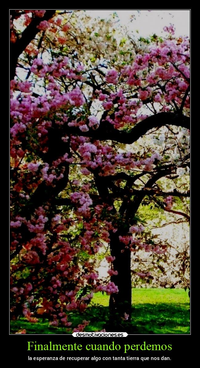 Finalmente cuando perdemos - la esperanza de recuperar algo con tanta tierra que nos dan.