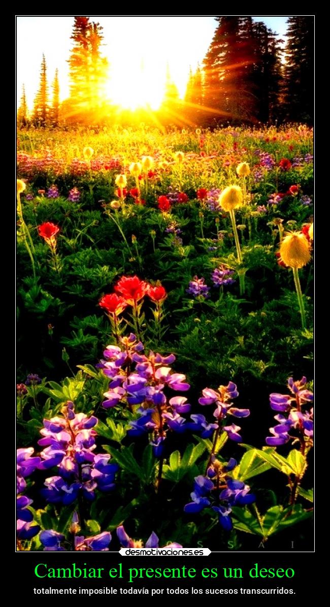 Cambiar el presente es un deseo - totalmente imposible todavía por todos los sucesos transcurridos.