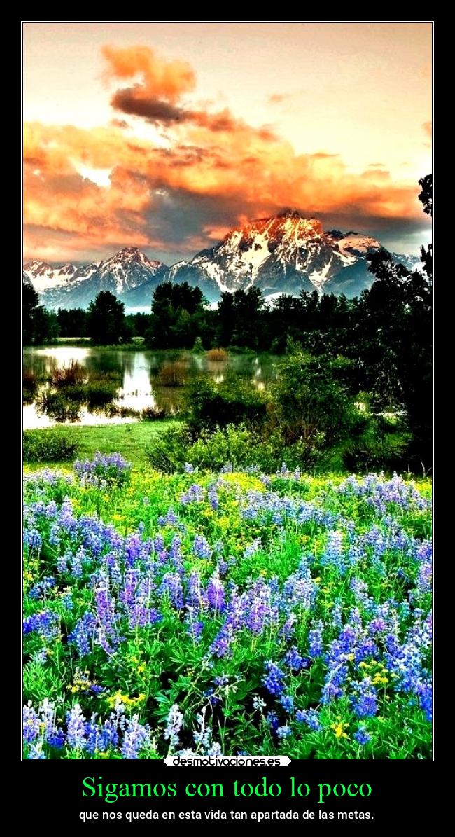 Sigamos con todo lo poco - que nos queda en esta vida tan apartada de las metas.