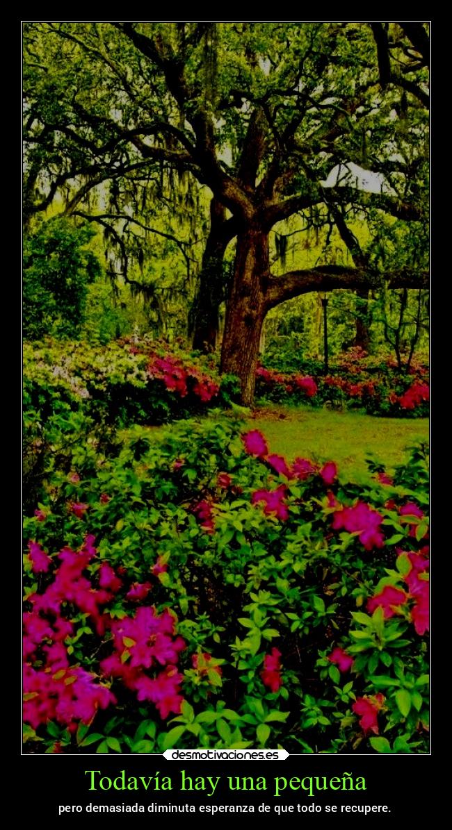 Todavía hay una pequeña - pero demasiada diminuta esperanza de que todo se recupere.