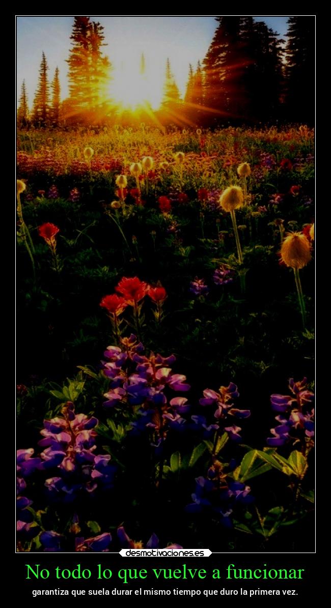 No todo lo que vuelve a funcionar - garantiza que suela durar el mismo tiempo que duro la primera vez.