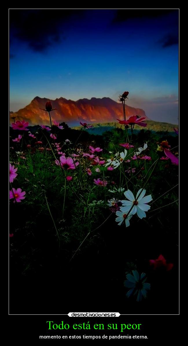 Todo está en su peor - momento en estos tiempos de pandemia eterna.