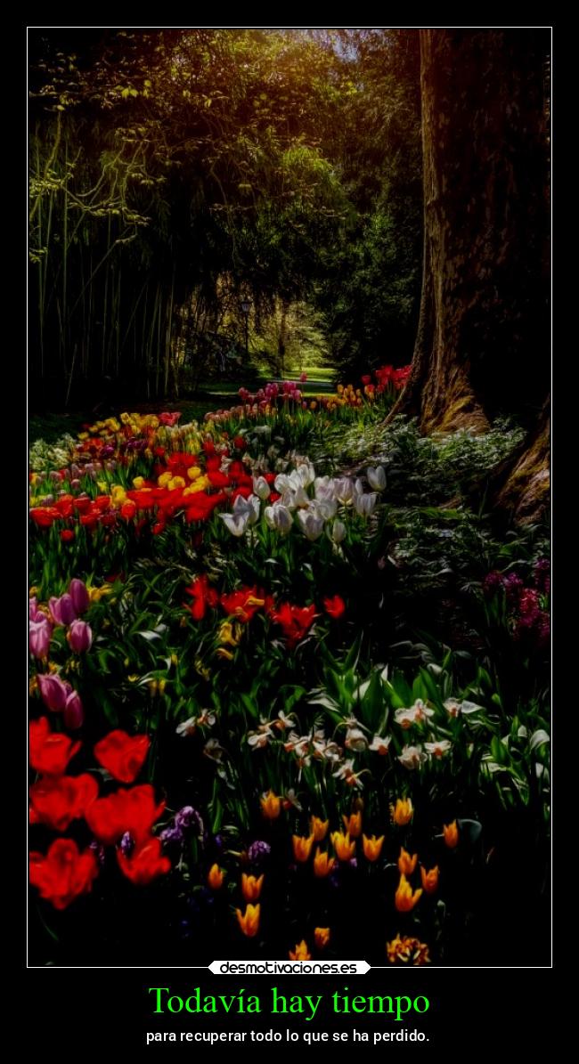 Todavía hay tiempo - para recuperar todo lo que se ha perdido.