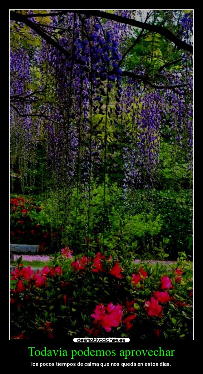 Todavía podemos aprovechar - los pocos tiempos de calma que nos queda en estos días.