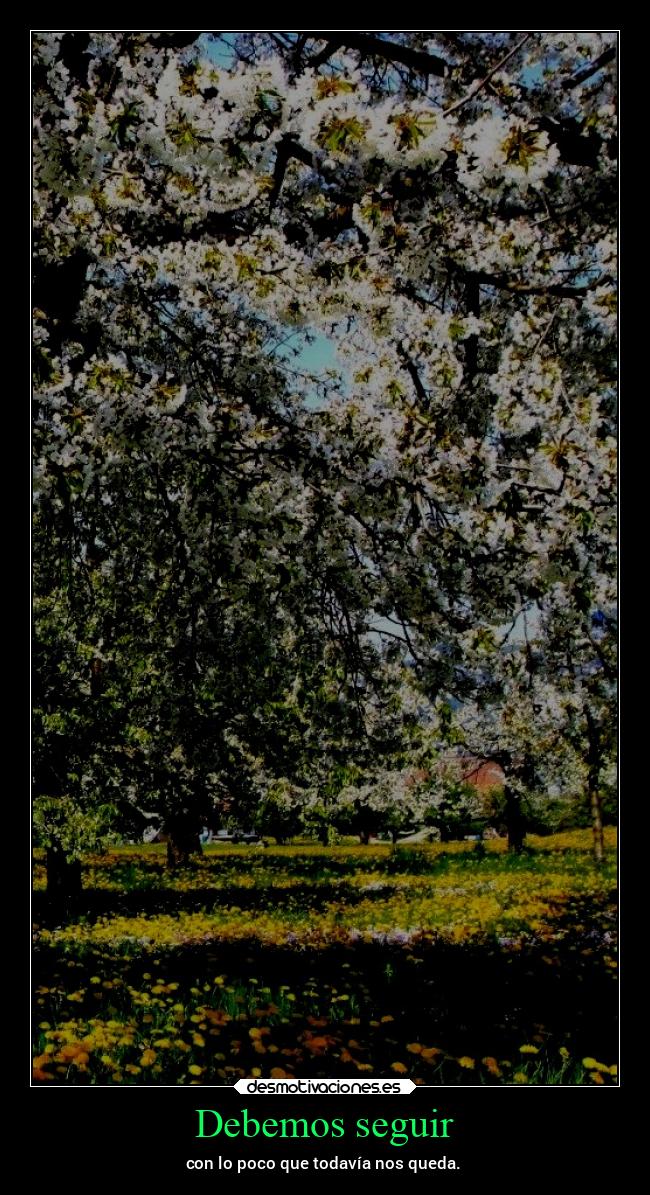 Debemos seguir - con lo poco que todavía nos queda.