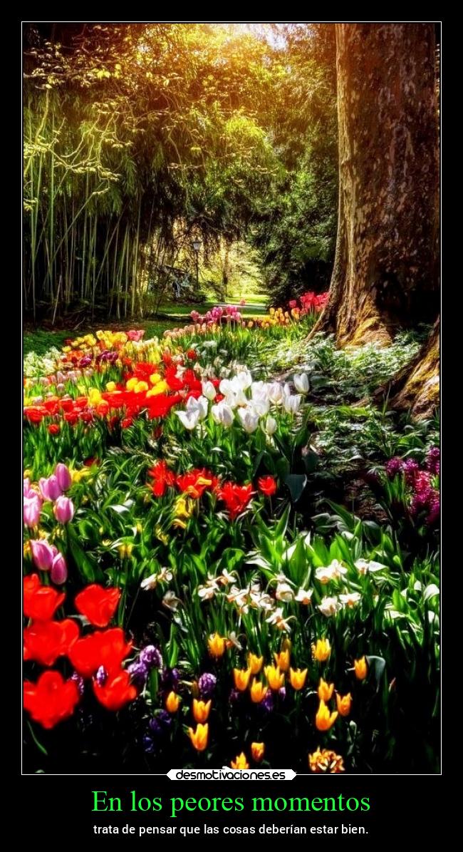 En los peores momentos - trata de pensar que las cosas deberían estar bien.