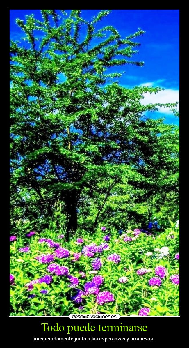 Todo puede terminarse - inesperadamente junto a las esperanzas y promesas.