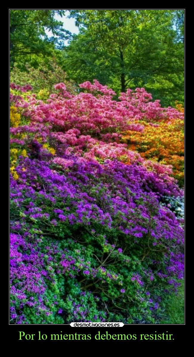 Por lo mientras debemos resistir. -