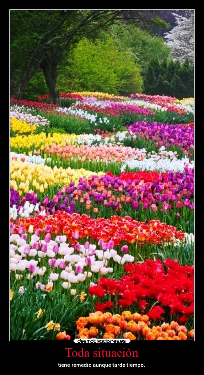 Toda situación - tiene remedio aunque tarde tiempo.
