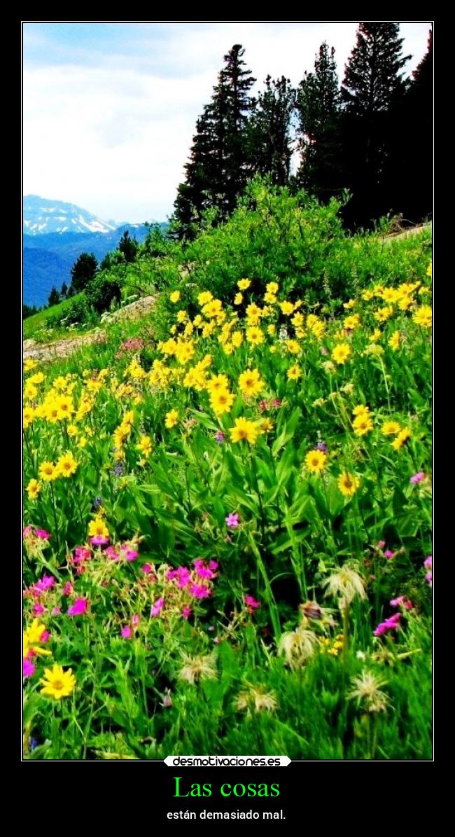 Las cosas - están demasiado mal.