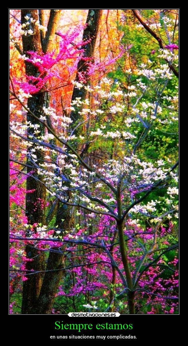 Siempre estamos - en unas situaciones muy complicadas.