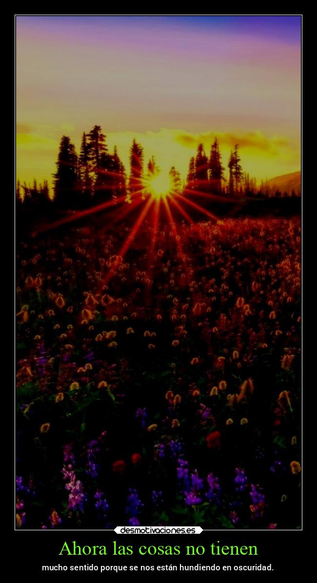 Ahora las cosas no tienen - mucho sentido porque se nos están hundiendo en oscuridad.