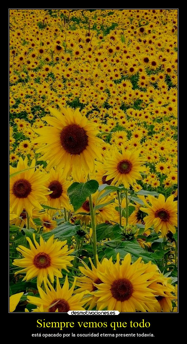 Siempre vemos que todo - está opacado por la oscuridad eterna presente todavía.
