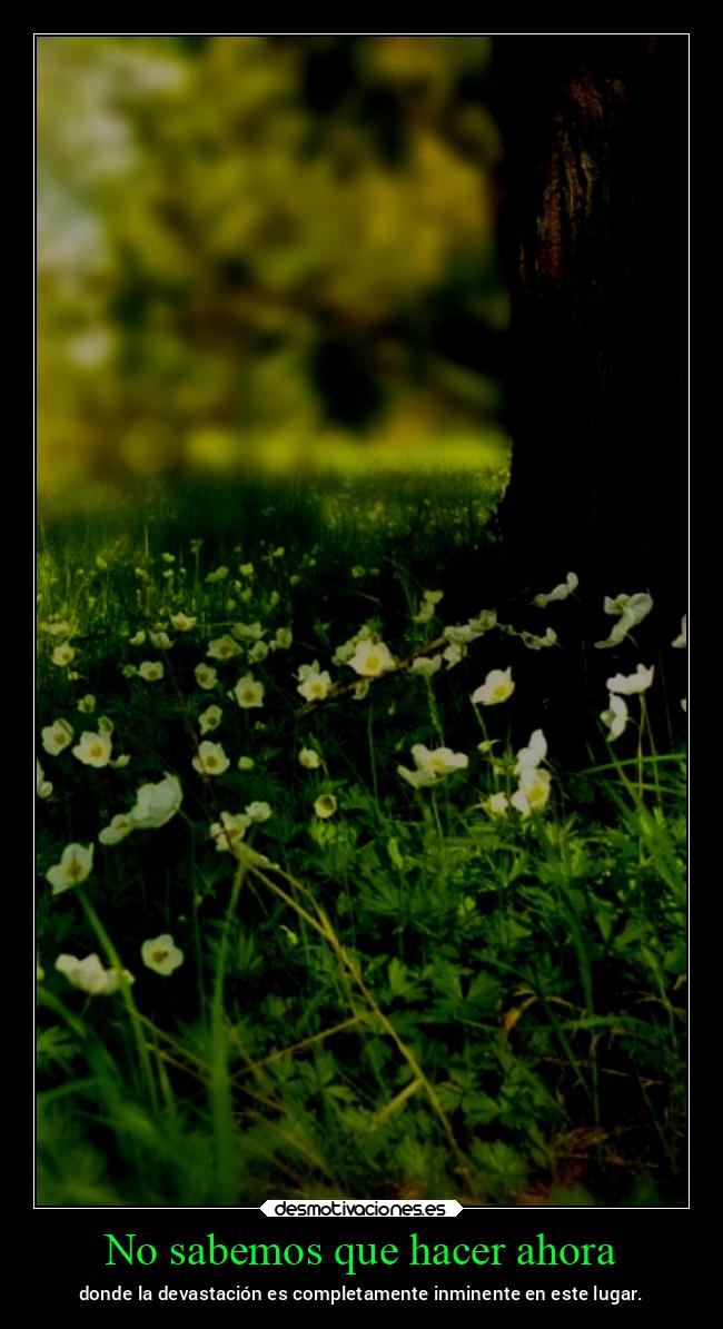 No sabemos que hacer ahora - donde la devastación es completamente inminente en este lugar.