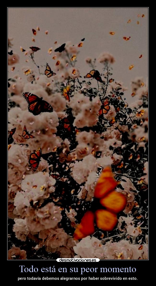 Todo está en su peor momento - pero todavía debemos alegrarnos por haber sobrevivido en esto.