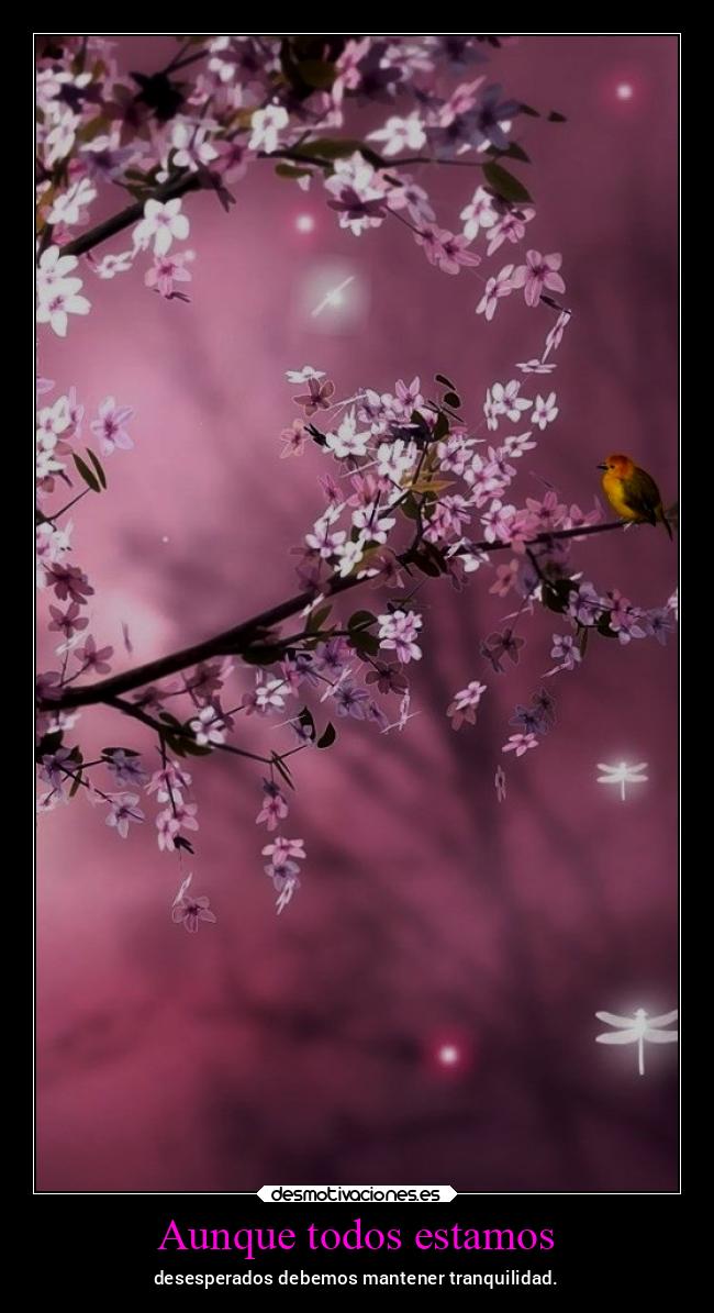 Aunque todos estamos - desesperados debemos mantener tranquilidad.