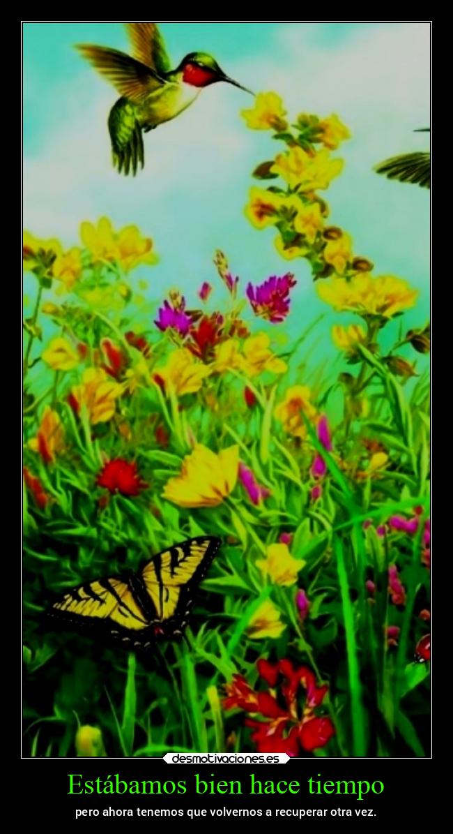Estábamos bien hace tiempo - pero ahora tenemos que volvernos a recuperar otra vez.