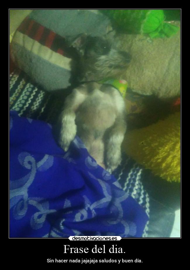 Frase del dia. - Sin hacer nada jajajaja saludos y buen día.