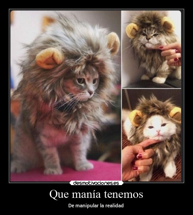 Que manía tenemos -