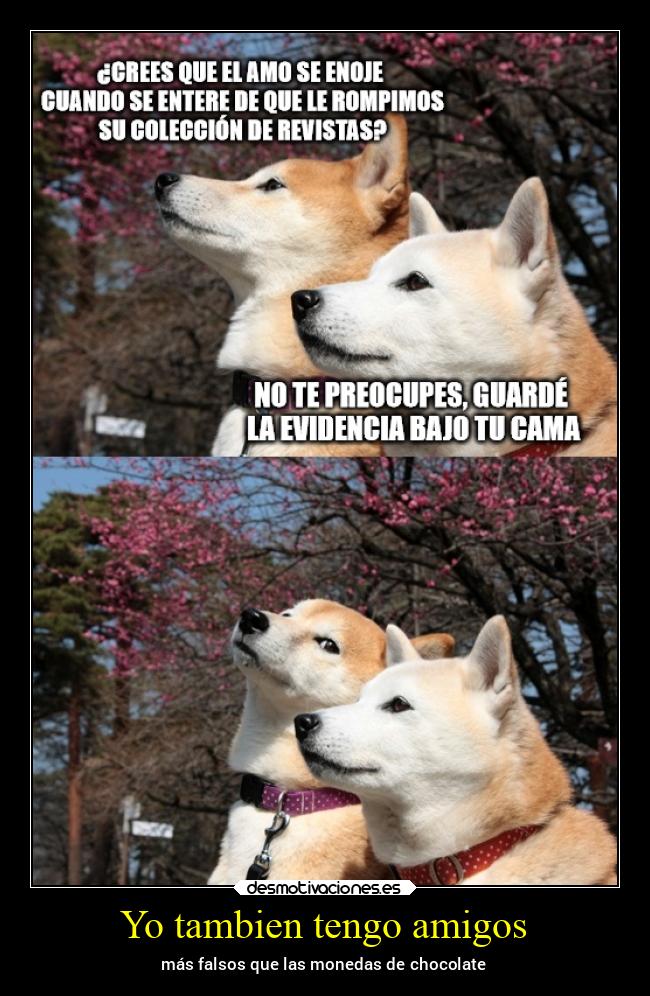 carteles amigos bogota memes imposible alicea laterceracola porundia desmotivaciones