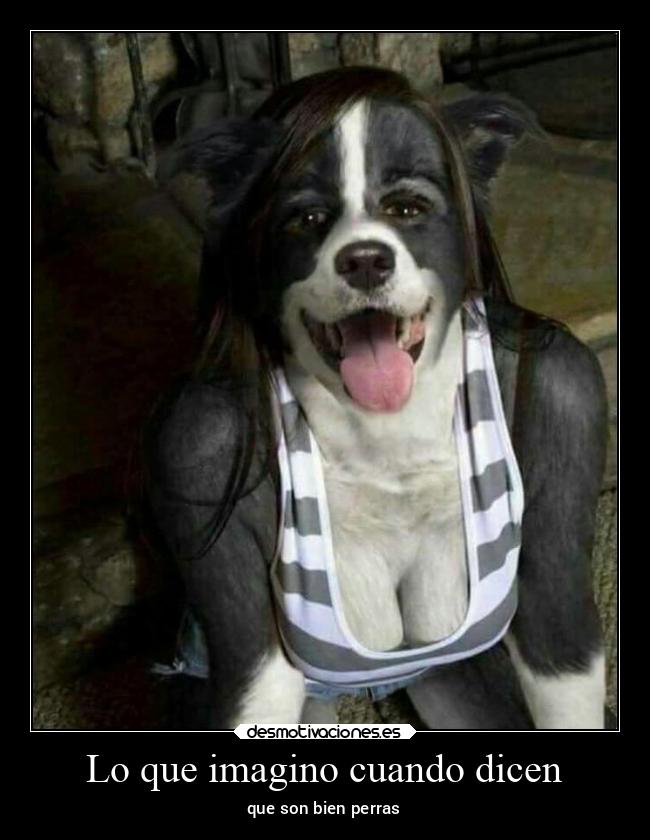 Lo que imagino cuando dicen - que son bien perras