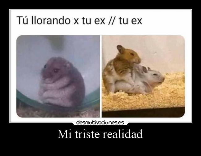 Mi triste realidad -