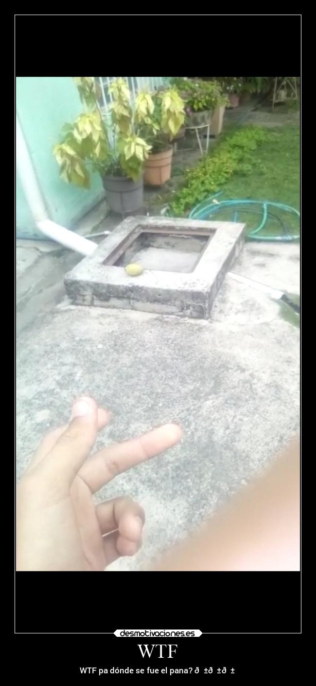 WTF - WTF pa dónde se fue el pana? 😱😱😱