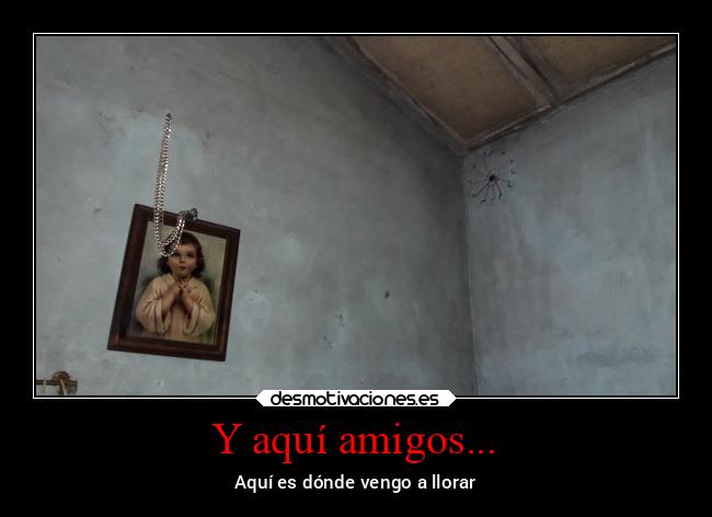 carteles amigos llorar habitacion desmotivaciones