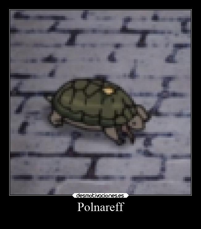 Polnareff -