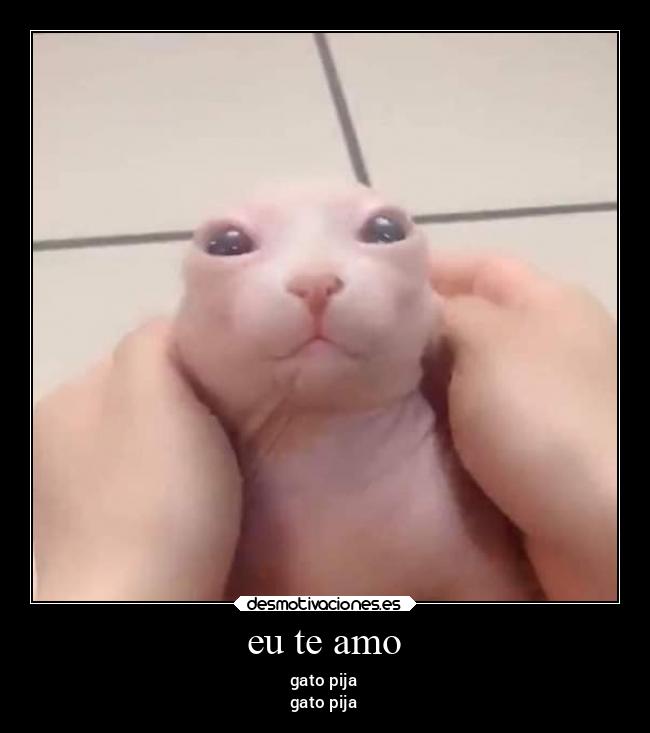 eu te amo -
