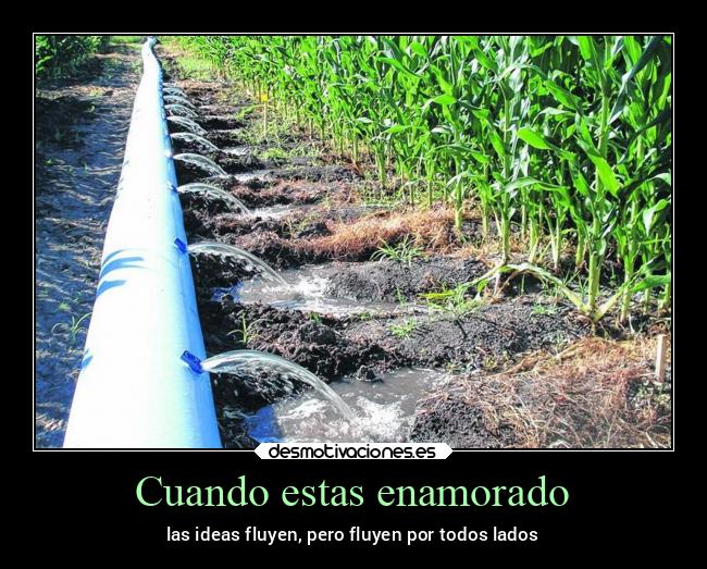 Cuando estas enamorado - 