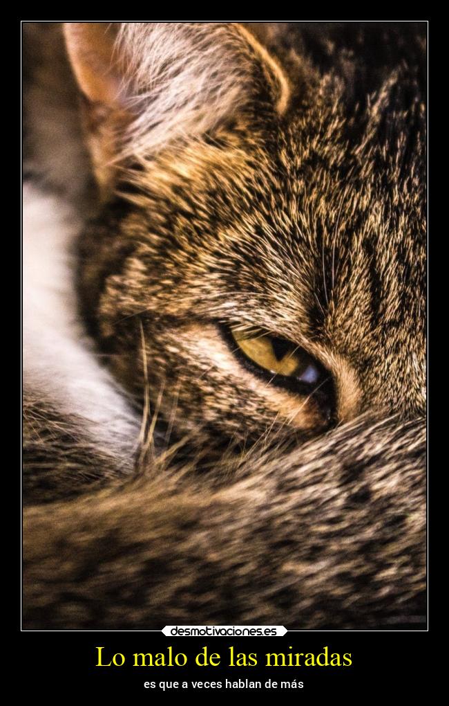 Lo malo de las miradas - 