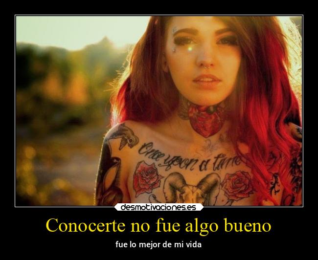 Conocerte no fue algo bueno -