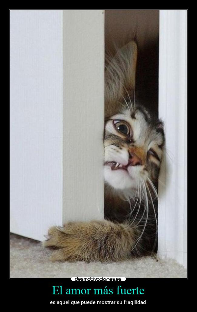 El amor más fuerte - 
