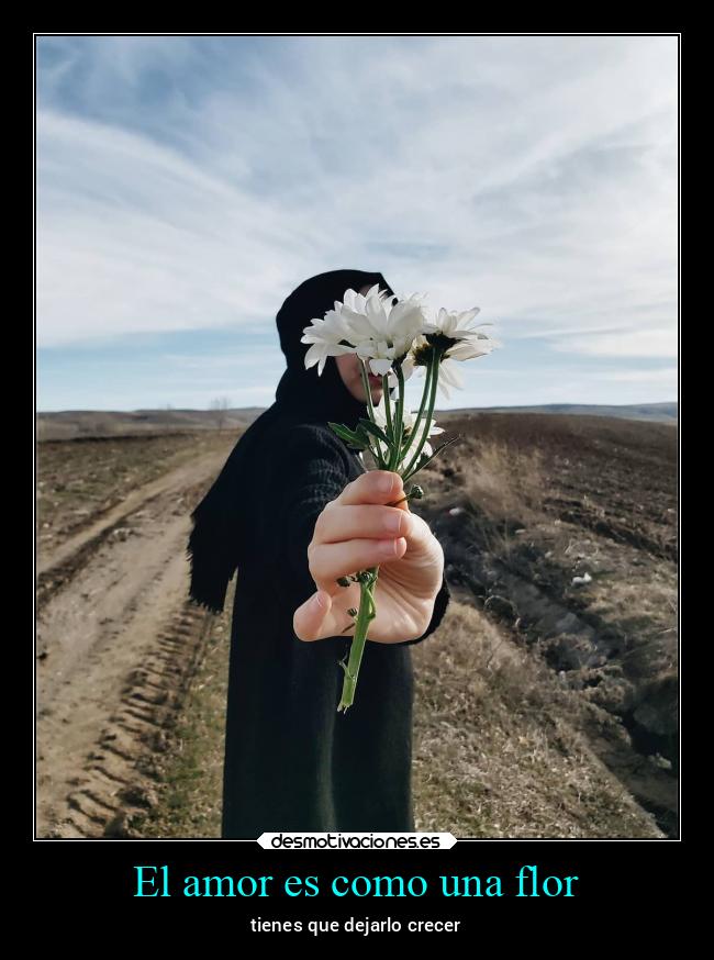 El amor es como una flor - 