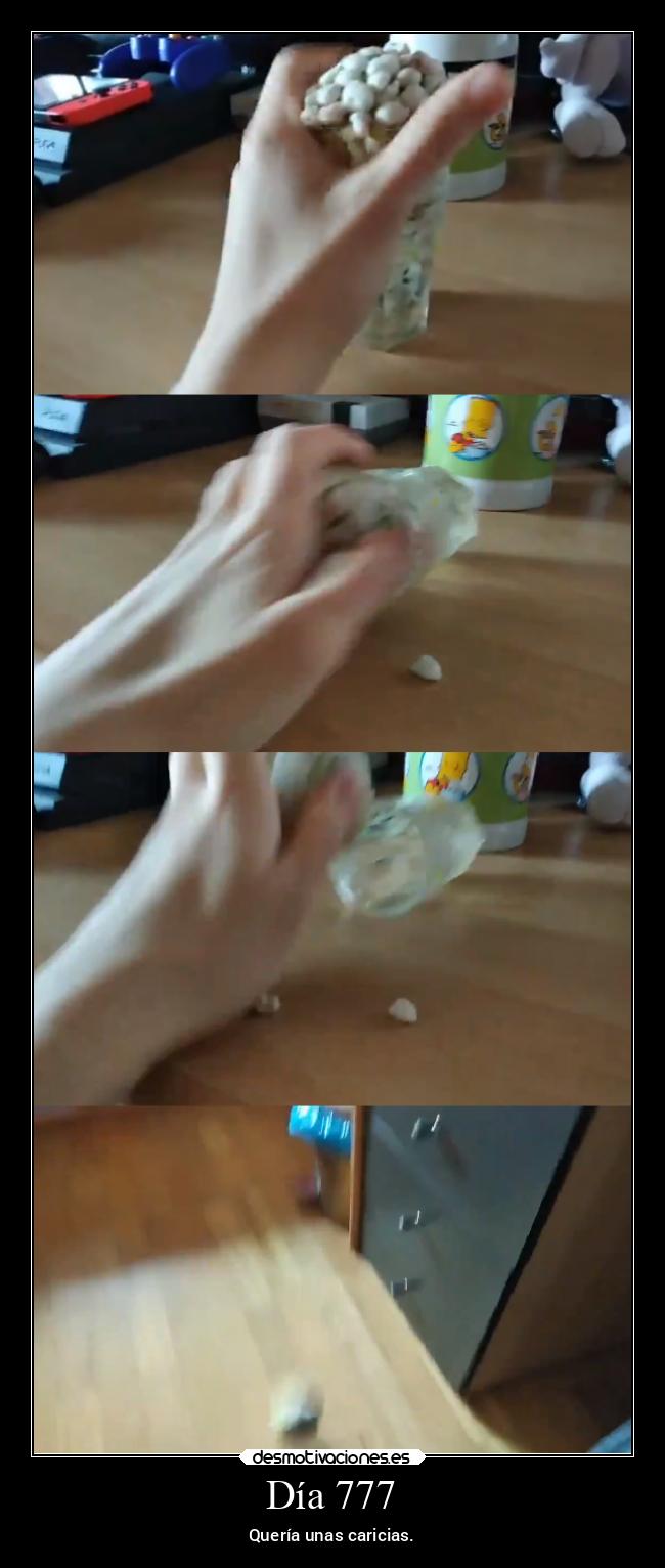 Día 777 - Quería unas caricias.